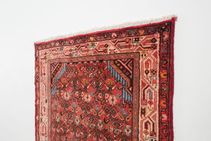 2.5x9.5 Persian Rug | KAMBOD