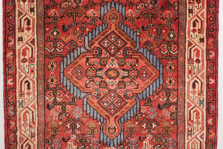 2.5x9.5 Persian Rug | KAMBOD