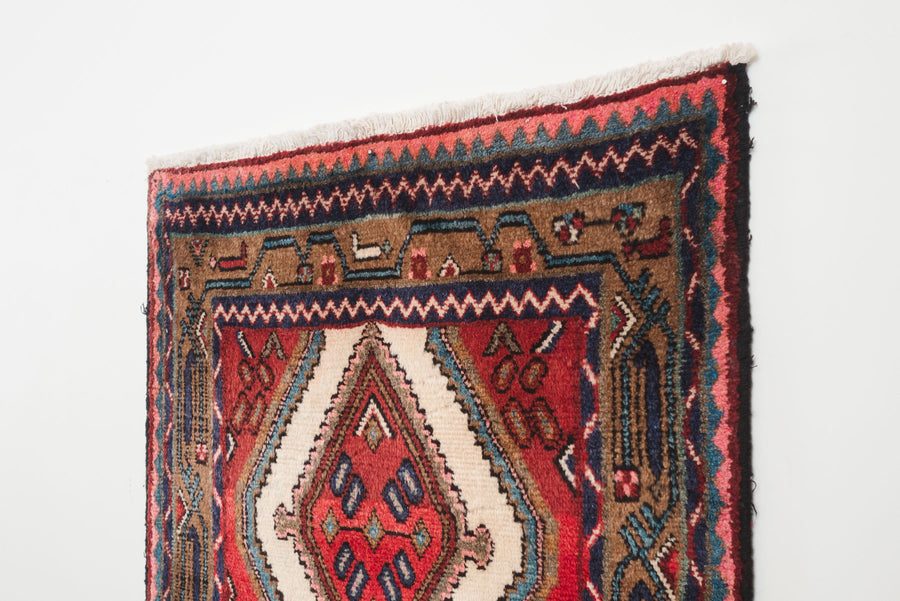 3x10.5 Persian Rug | GHADIR