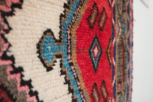 3x10.5 Persian Rug | GHADIR