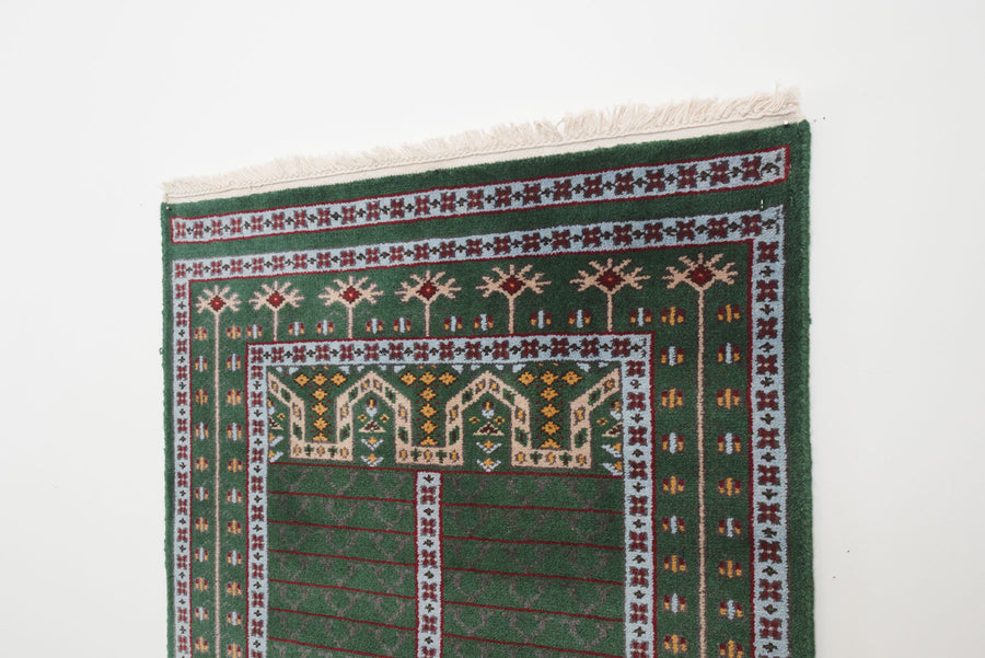 3x15 Pakistani Rug | DAHAK