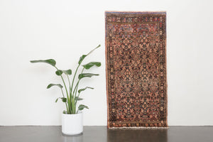 3.5x7 Persian Rug | MOEZ