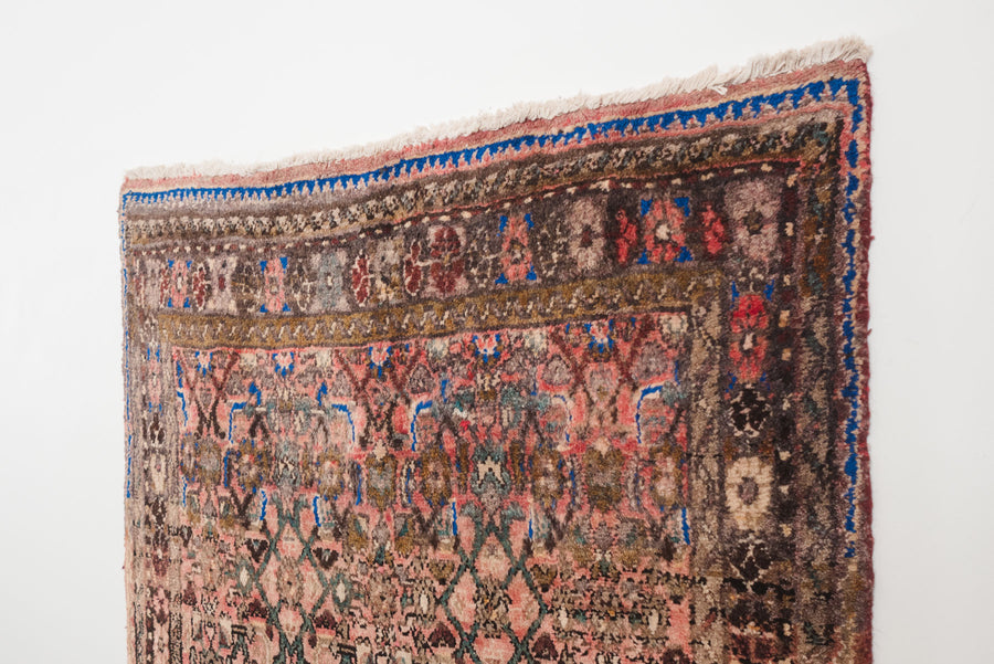 3.5x7 Persian Rug | MOEZ