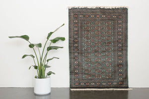 4x6.5 Pakistani Rug | DAGAR
