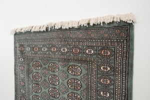 4x6.5 Pakistani Rug | DAGAR