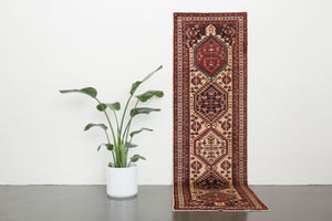 3x9.5 Persian Rug | DADVAR