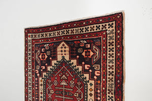 3x9.5 Persian Rug | DADVAR