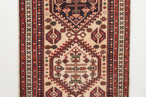 3x9.5 Persian Rug | DADVAR