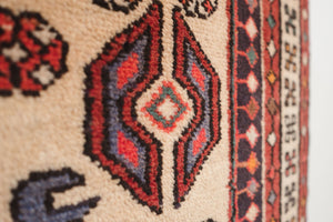 3x9.5 Persian Rug | DADVAR