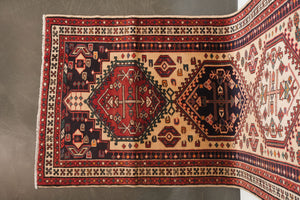 3x9.5 Persian Rug | DADVAR