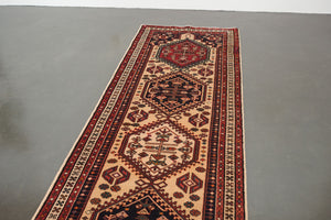 3x9.5 Persian Rug | DADVAR