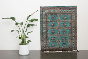 4x5.5 Pakistani Rug | DABEET