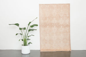 4x7 Turkish Sunwash Rug | BURHAN