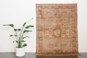 5.5x7.5 Turkish Shiravan Rug | CAFER