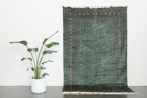 5x8.5 Pakistani Rug | TAOUS