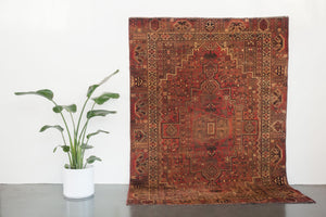 6x9 Persian Rug | NOVID