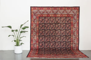 7x10 Persian Rug | NASER