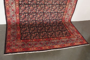 7x10 Persian Rug | NASER