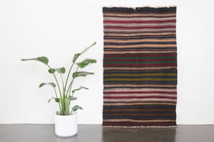 4x7 Turkish Kilim Rug | ERDAL