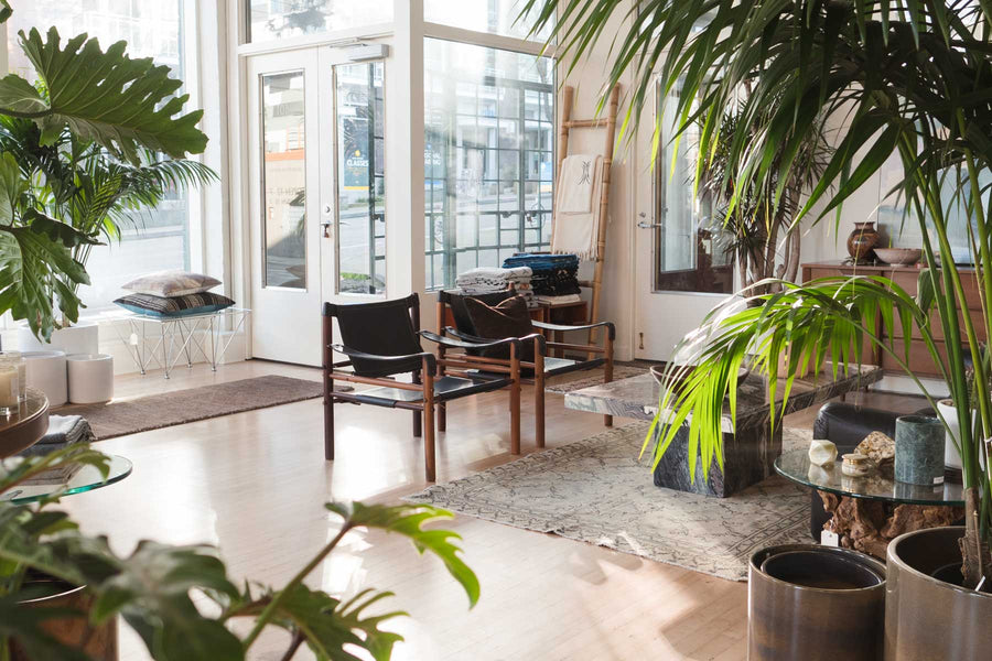 MC Arne Norell Safari Chairs