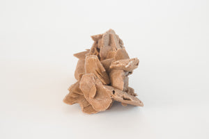 Desert Rose