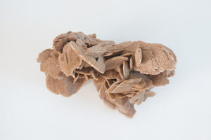 Desert Rose