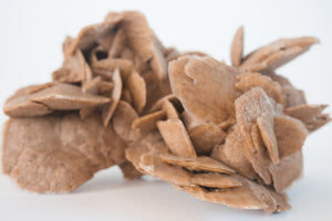 Desert Rose