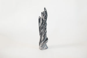 Orthoceras Fossil Sculpture