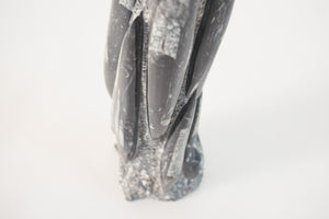 Orthoceras Fossil Sculpture