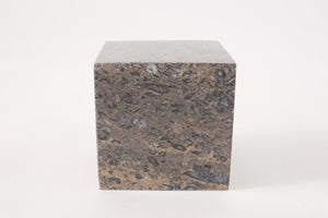 Fossilized Stone Object