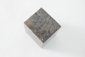 Fossilized Stone Object