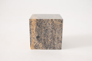 Fossilized Stone Object