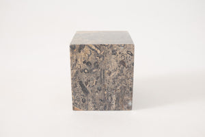 Fossilized Stone Object