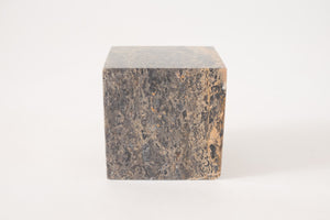 Fossilized Stone Object