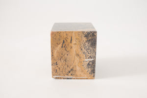 Fossilized Stone Object