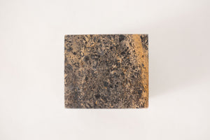 Fossilized Stone Object