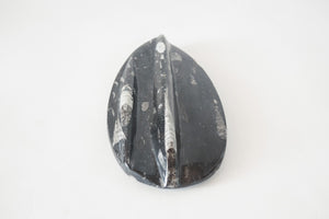Carved Orthoceras Object