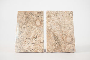 Fossilized Stone Bookends