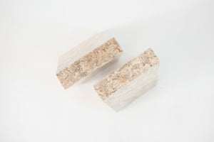 Fossilized Stone Bookends
