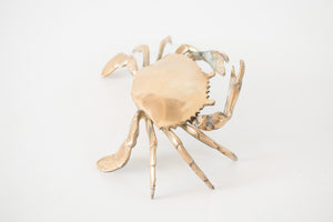 Brass Crab Hidden Tray