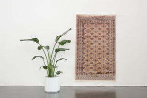 3x5 Pakistani Rug | DAWUD