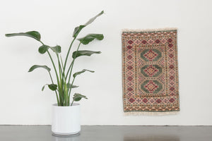 2x3.5 Pakistani Rug | DAIVIK