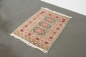 2x3.5 Pakistani Rug | DAIVIK