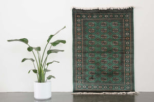 4x6.5 Pakistani Rug | DASTIAAR