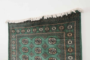 4x6.5 Pakistani Rug | DASTIAAR