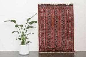 4x6.5 Pakistani Rug | DAJASI
