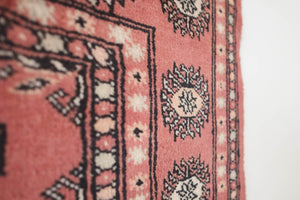 4x6.5 Pakistani Rug | DAJASI