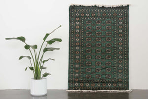 4x6.5 Peshawar Bokhara Rug | DALEN
