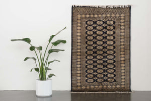 4x7 Pakistani Rug | DAYIM