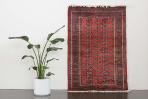 4x6.5 Pakistani Rug | DALAN